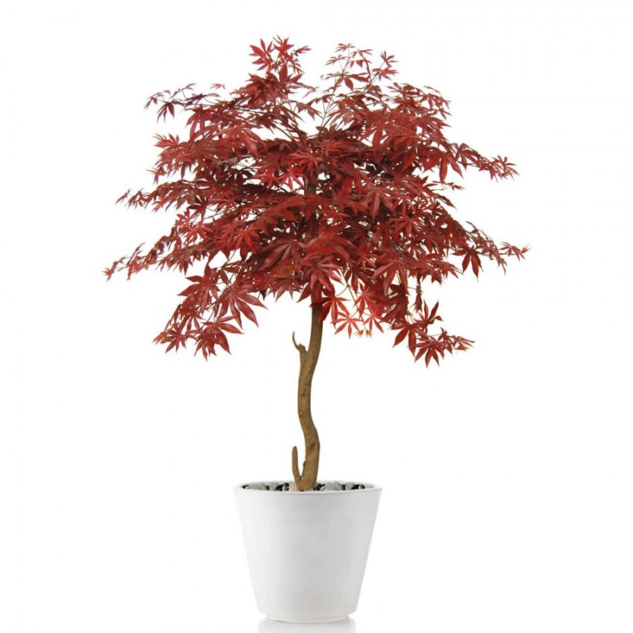Planta semi-artificiala Ila, Maple Topiary Burgundy - 120 cm